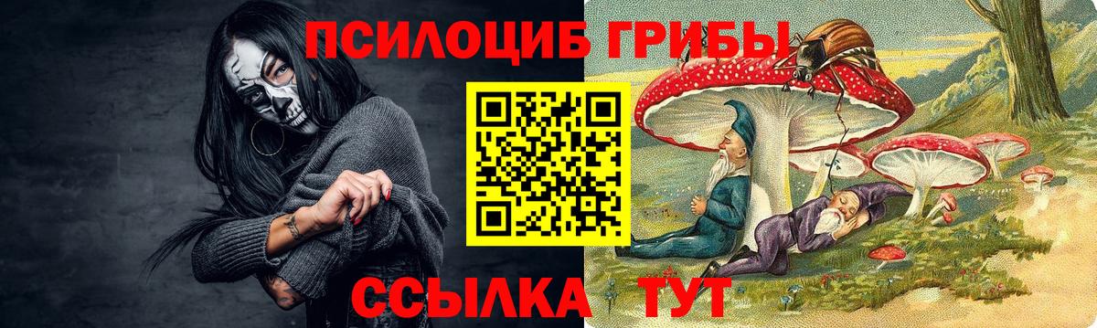 Псилоцибиновые грибы Magic Shrooms Тулун